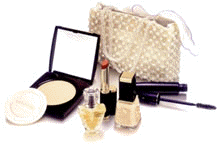 produit.jpg (7137 bytes)