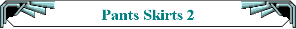 Pants Skirts 2
