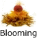 blooming tea